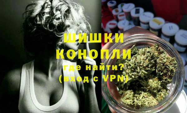 индика Белокуриха