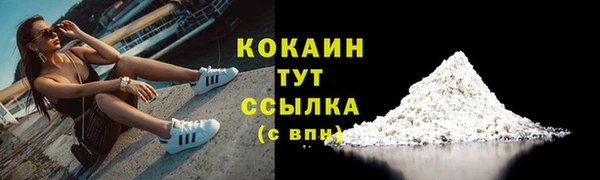 индика Белокуриха