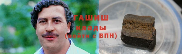 индика Белокуриха