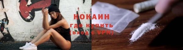 индика Белокуриха