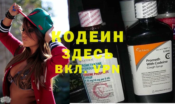 индика Белокуриха