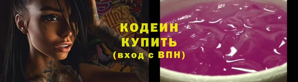индика Белокуриха