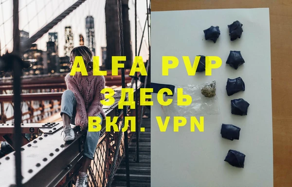 индика Белокуриха