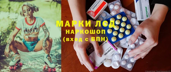 индика Белокуриха