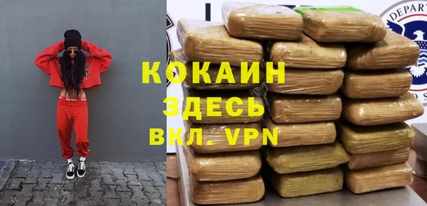 индика Белокуриха
