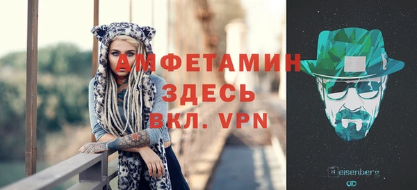 индика Белокуриха