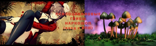 индика Белокуриха