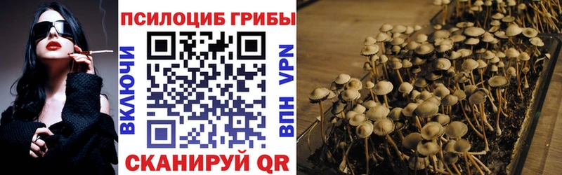 мега ссылка  Облучье  Галлюциногенные грибы Psilocybine cubensis 